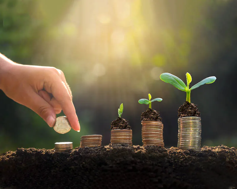 PERTUBUHAN DIALOG PROFESIONAL ARAB MALAYSIA - MAPDA